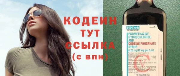 прущие грибы Армянск