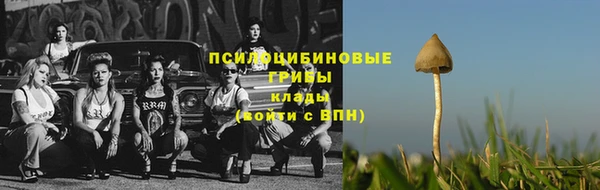 герыч Арсеньев