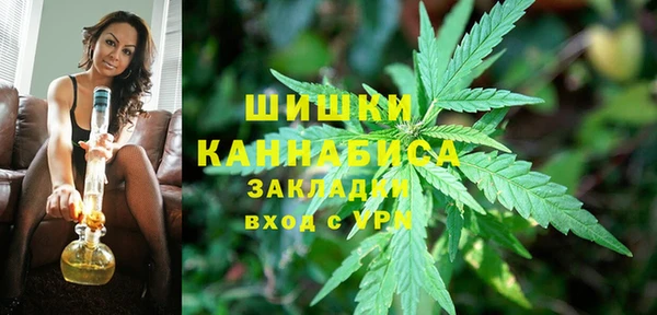 прущие грибы Армянск