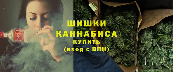 прущие грибы Армянск