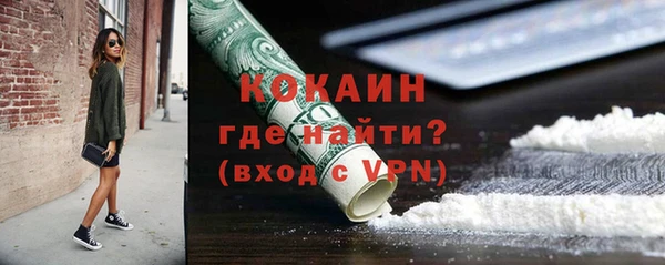 прущие грибы Армянск