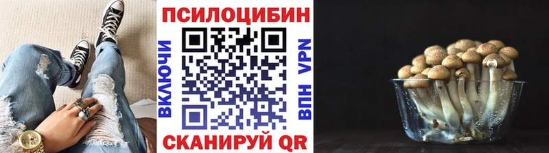 Галлюциногенные грибы Cubensis  blacksprut ССЫЛКА  Пустошка  купить наркотик 